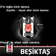 61evlatt