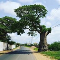 SIZINTI