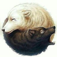 darkbullettr